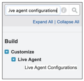 live-agent-configuration.PNG